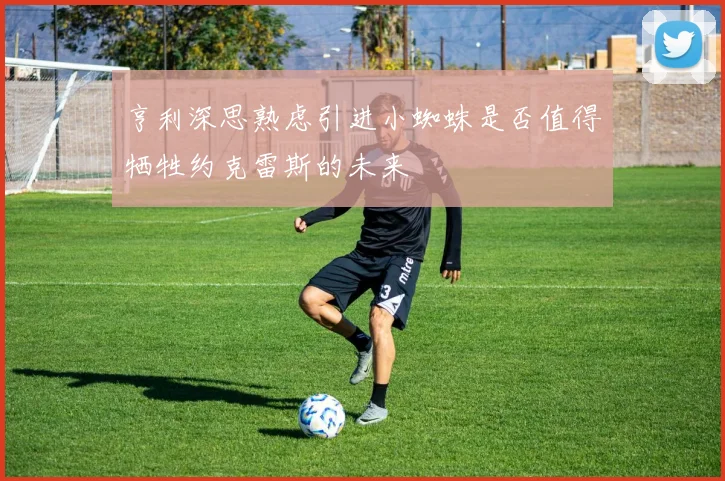 亨利深思熟虑引进小蜘蛛是否值得牺牲约克雷斯的未来